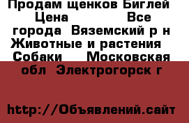 Продам щенков Биглей › Цена ­ 15 000 - Все города, Вяземский р-н Животные и растения » Собаки   . Московская обл.,Электрогорск г.